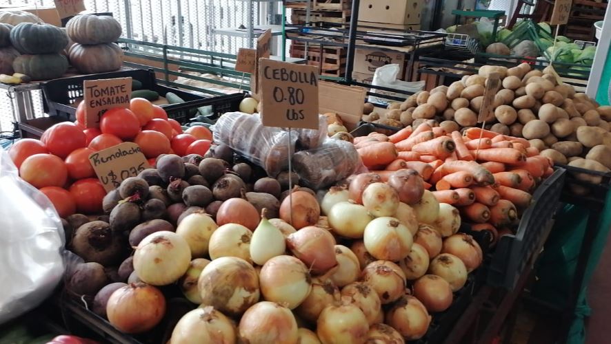Acodeco: Multas por incumplir precio regulado de la cebolla suman a $10 mil 430