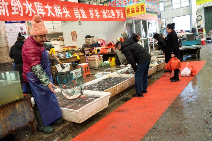 Los mercados chinos repletos de fauna silvestre son un hervidero de nuevos virus