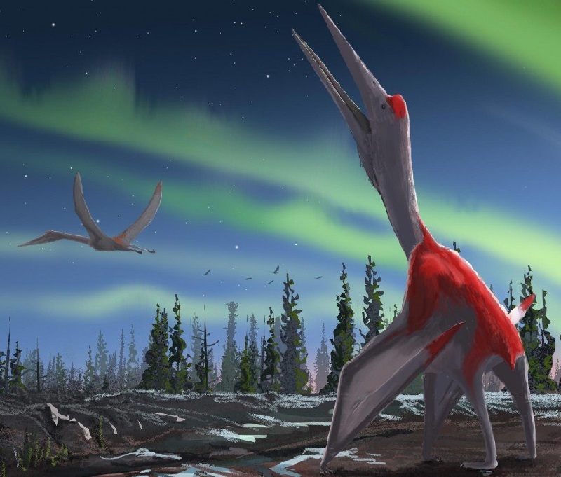 Identifican en Canadá uno de los mayores animales voladores de la prehistoria