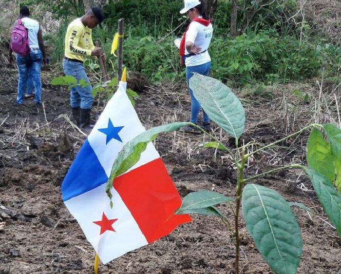 CCIAP insta a formar parte del Día Nacional de Reforestación