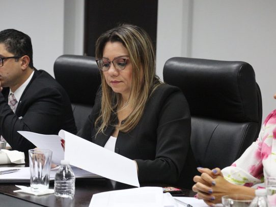 Ministros de la región analizan el impacto del Covid en el sector laboral