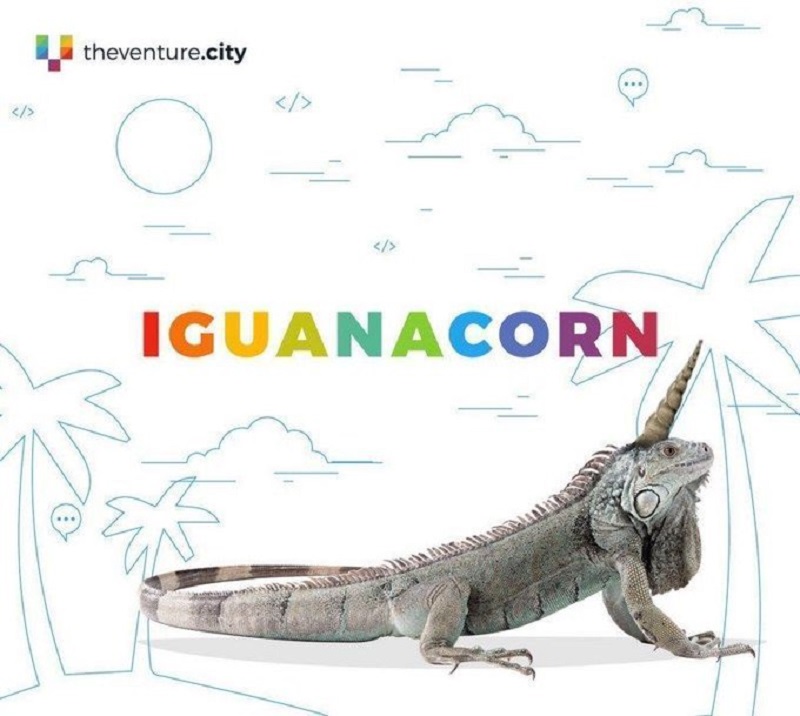Miami, un ecosistema tecnológico que busca sus propios "iguanacornios"