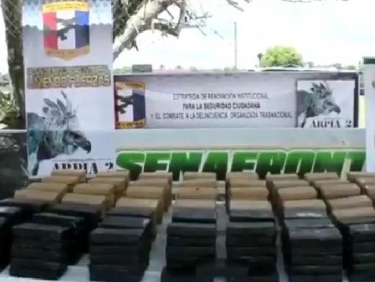 Decomisan 273 paquetes con droga en Chiriquí