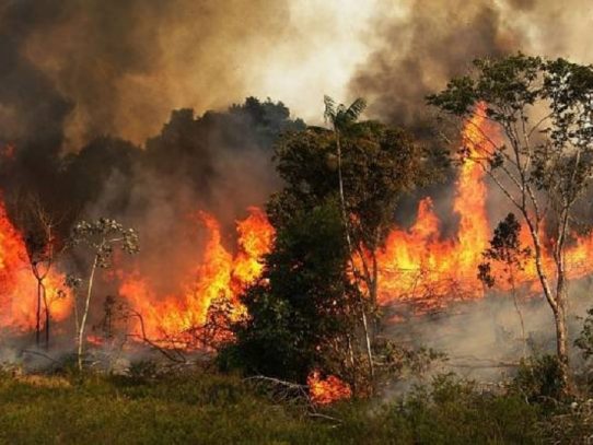 A medida que la Amazonía arde, los incendios generan caos en Bolivia