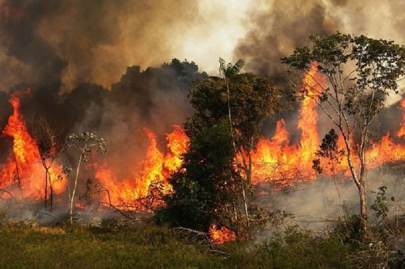 CEP: Si el Amazonas sufre, el mundo sufre