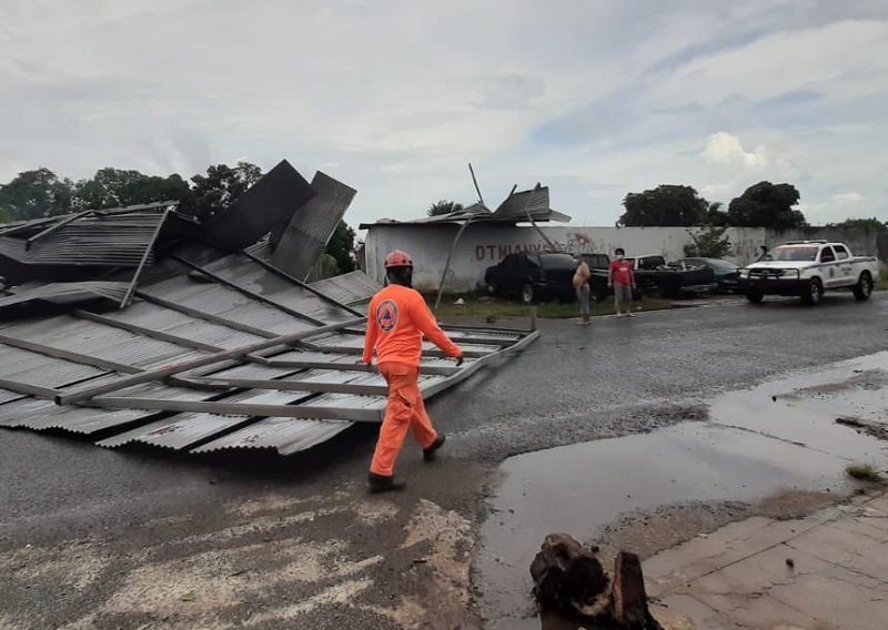 Sinaproc reporta árboles caídos y techos desprendidos en Panamá Oeste