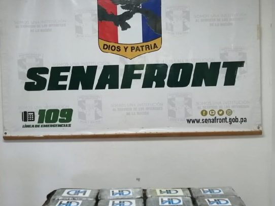 Decomisan 12 paquetes con droga en Chiriquí