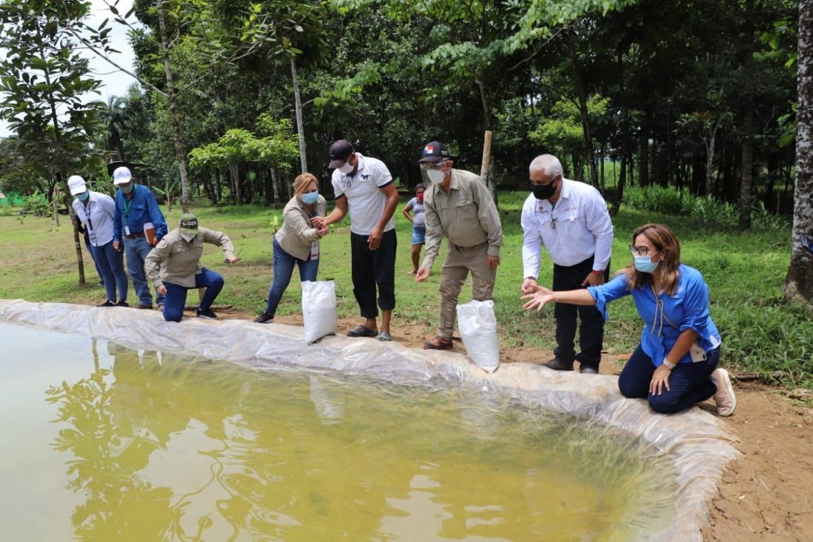 ARAP lanza campaña para la siembra y consumo de tilapia