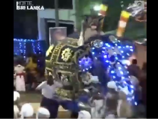 Un elefante causa corredera en Sri Lanka y deja 17 heridos en medio de festival