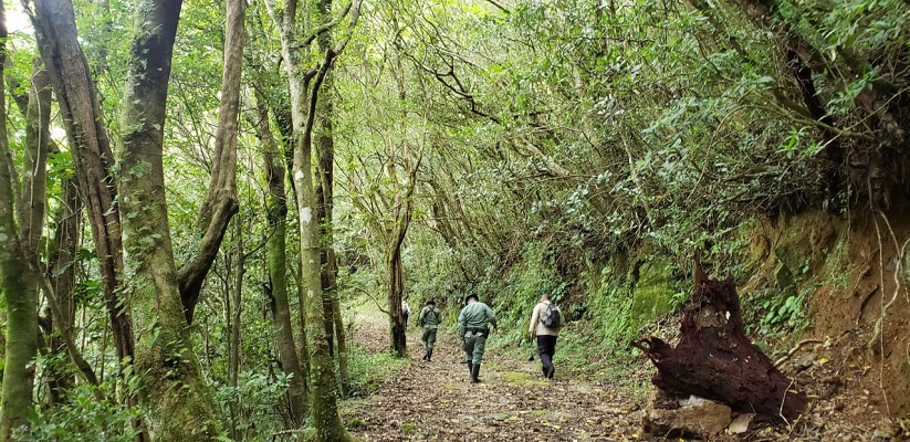 MiAmbiente realiza 617 patrullajes para proteger Parques Nacionales en Chiriquí