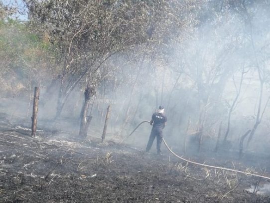 Bomberos atienden varios incendios de masa vegetal en Coclé