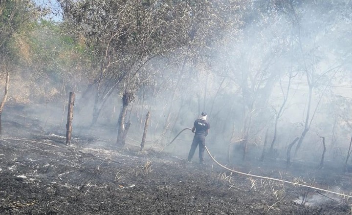 Bomberos atienden varios incendios de masa vegetal en Coclé