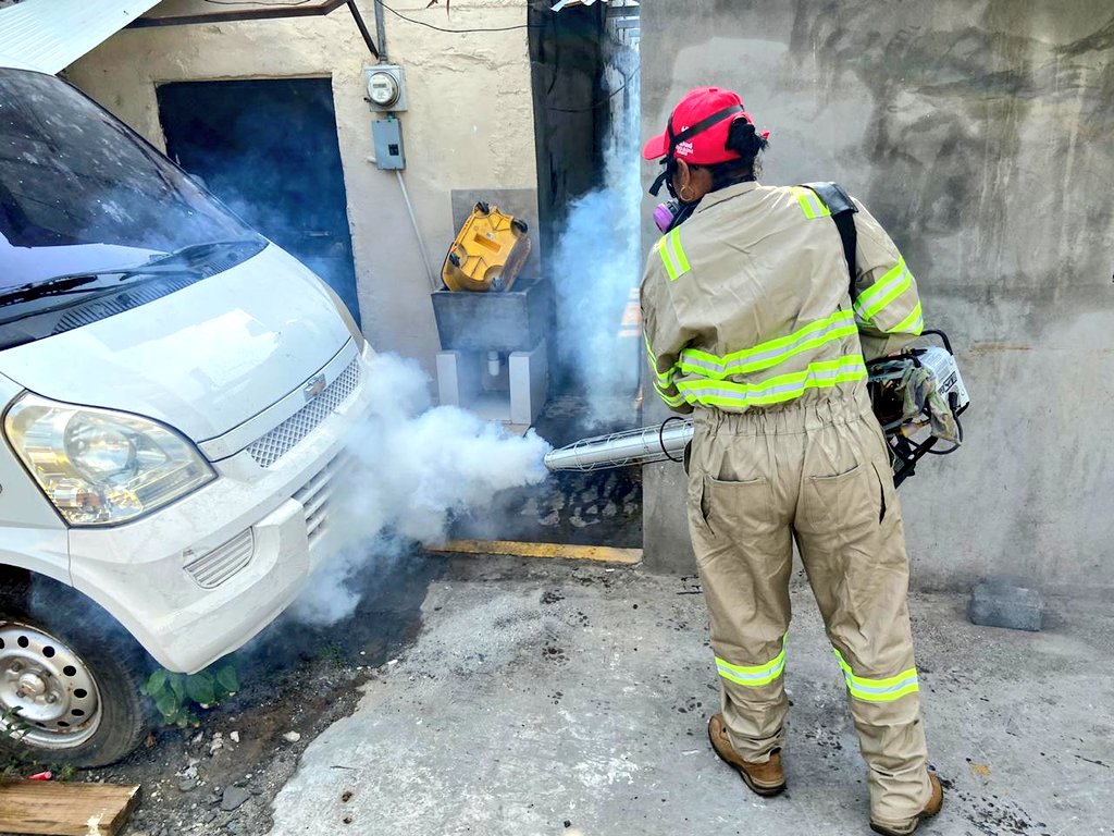 Región metropolitana de Salud registra 251 casos de dengue