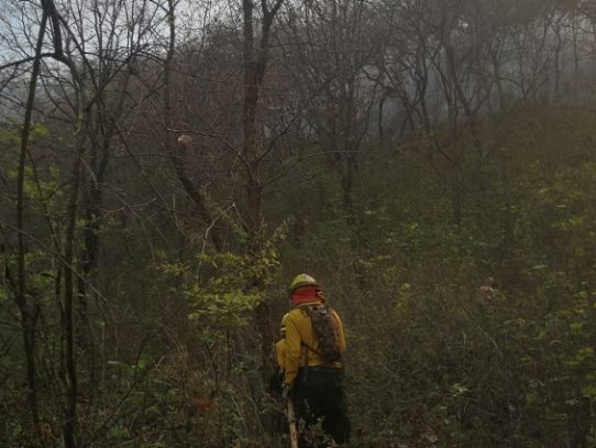Incendios arrasan casi seis mil hectáreas de bosque en Guatemala