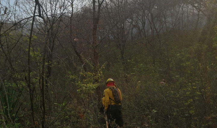 Incendios arrasan casi seis mil hectáreas de bosque en Guatemala