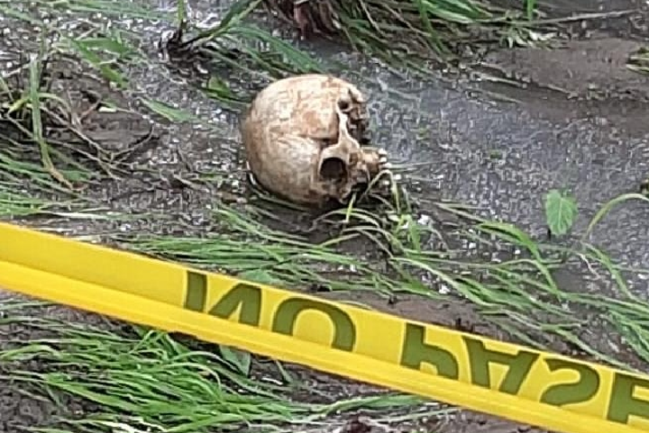 Hallan un cráneo en una quebrada del sector de Río Mar, distrito de San Carlos