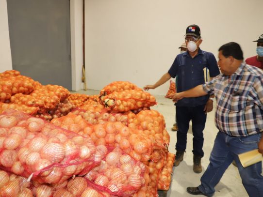Gobierno Nacional acelerará compra de cebolla a productores de Coclé