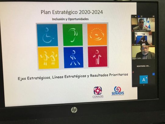 Senadis realiza consultas para la consecución del Plan Estratégico Nacional 2020-2024