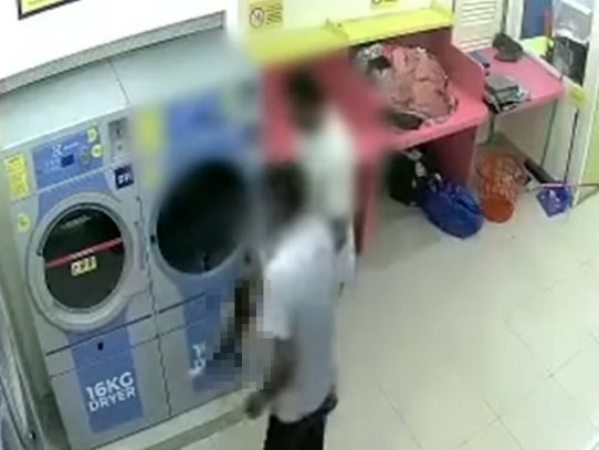 Condenan a un malasio que mató una gata preñada dentro de un secador de ropa