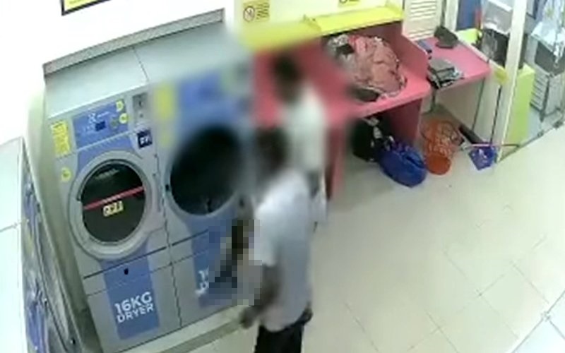 Condenan a un malasio que mató una gata preñada dentro de un secador de ropa