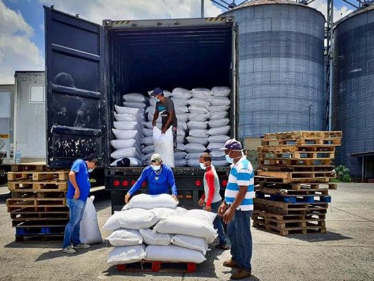 Gobierno anunció adquisición de 20 mil quintales de frijol para Panamá Solidario