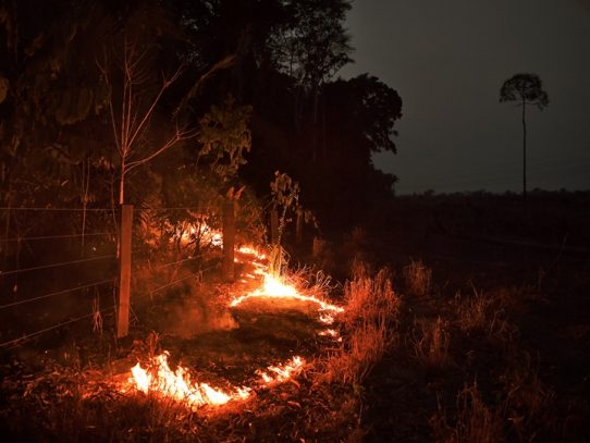 Brasil combate los incendios en la Amazonía tras nuevas llamaradas