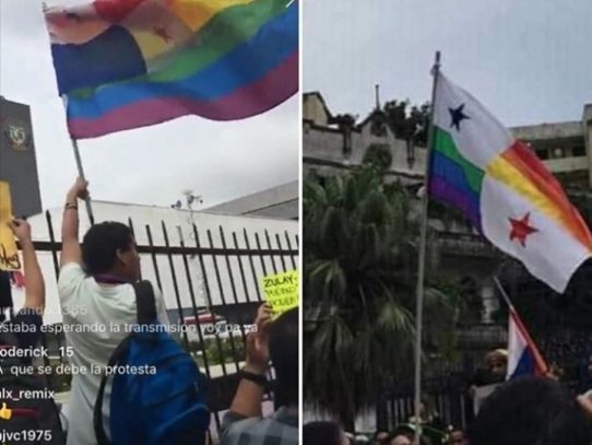 Indignación por alteración de la Bandera en manifestación contra diputados