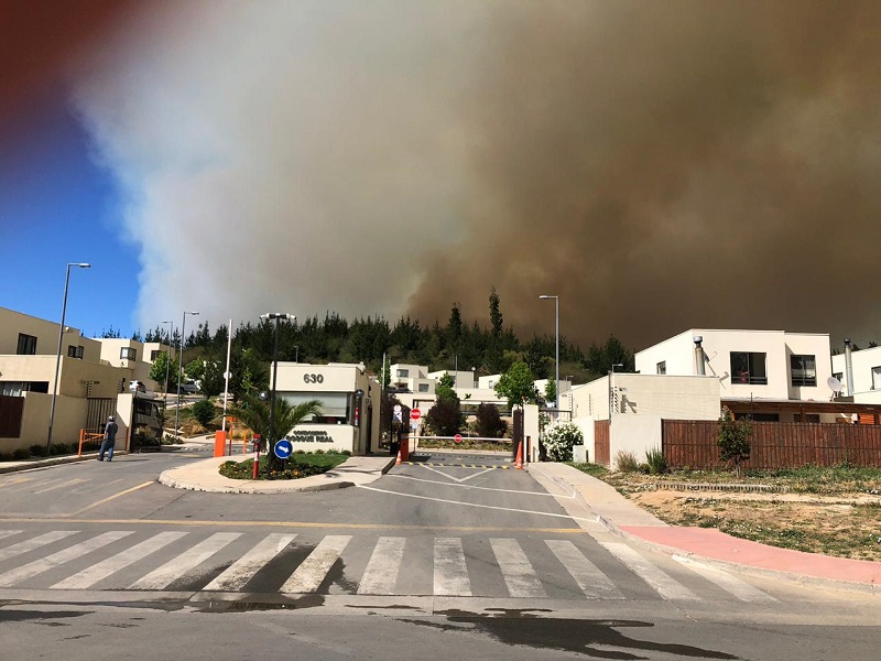 Incendios forestales en Chile afectan región de Valparaíso y obligan a evacuación