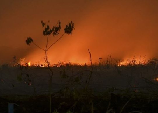 Los bomberos luchan sin descanso contra los incendios en Indonesia
