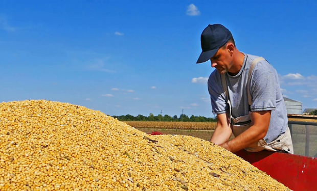 La soja sigue debilitada por la tensión comercial EE.UU.-China