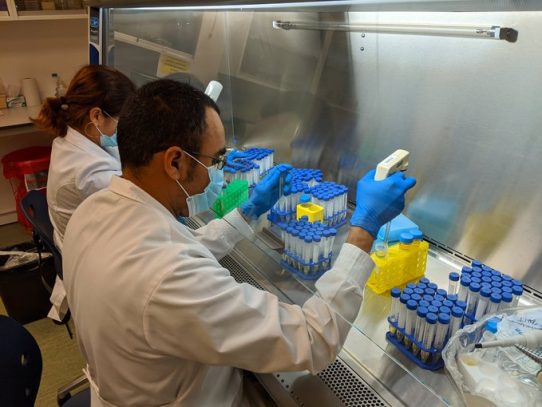 Científicos desarrollan en Panamá 2,000 reactivos para la detección del Covid-19