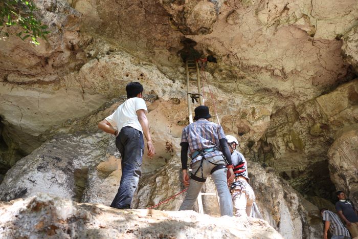 Los seres mitológicos de las cuevas indonesias podrían ser el arte imaginativo más antiguo hecho por el ser humano