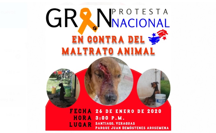 Convocan a Gran Protesta Nacional contra el maltrato animal