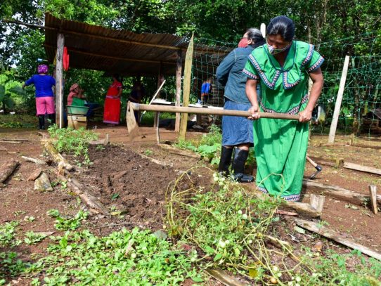 Más de 130,000 salieron de la pobreza, asegura informe del MIDES