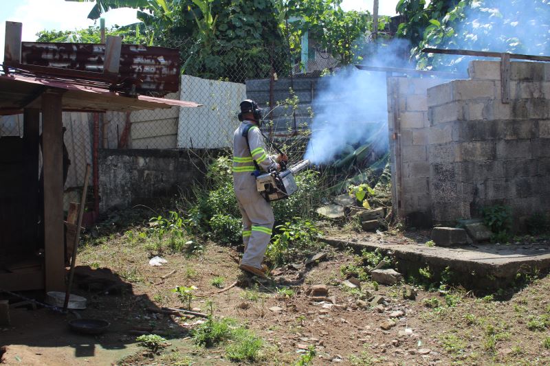 Eliminar criaderos de mosquitos para evitar el dengue: exhortación del MINSA