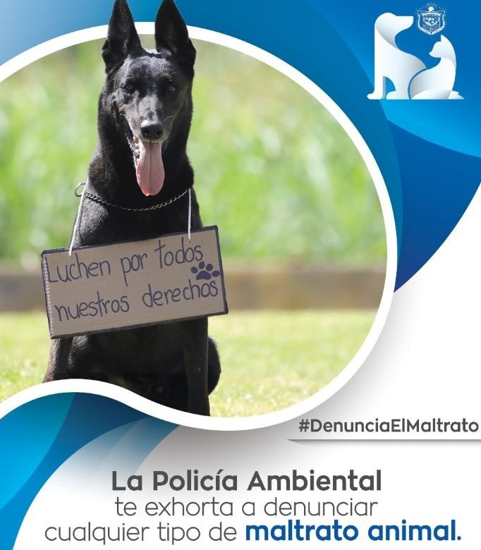 Policía Nacional lanza campaña contra el maltrato animal