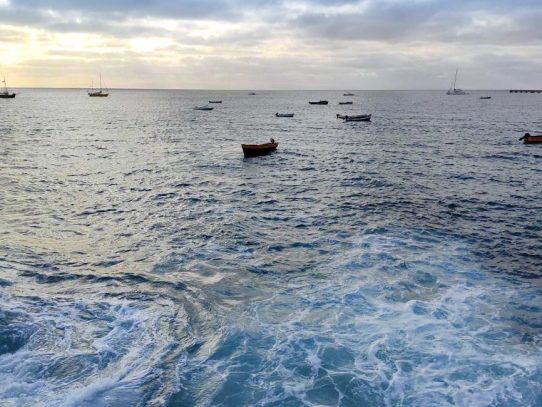 Llega a Panamá expedición Oceanía – Mar Azul