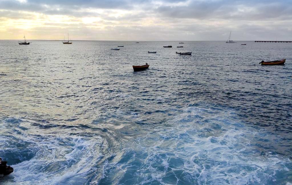 Llega a Panamá expedición Oceanía – Mar Azul