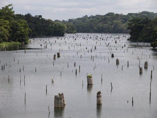 Panamá avanza en la ruta por establecer sus nuevos compromisos climáticos
