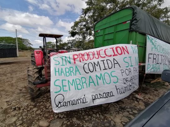Productores de Chiriquí denuncian pérdidas y falta de apoyo del gobierno