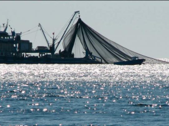 Panamá  adopta medidas contra 168 buques implicados en la pesca ilegal