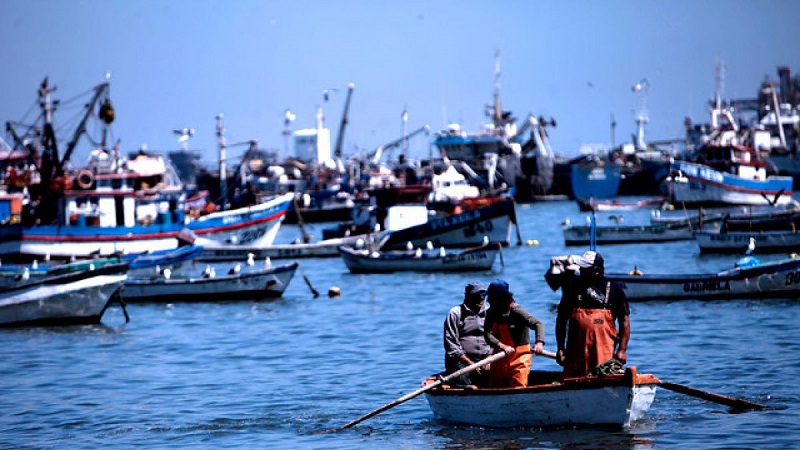 Establecen mecanismos para combatir la pesca ilegal
