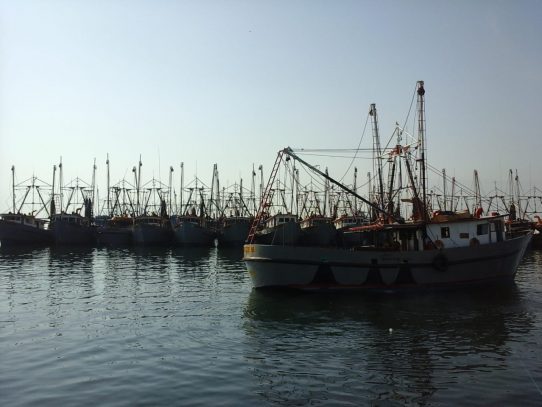 Evaluación de la UE determinará futuro de exportaciones pesqueras