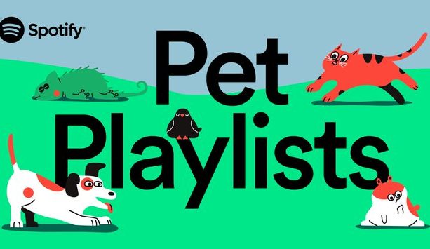 Spotify crea listas de música para mascotas solitarias