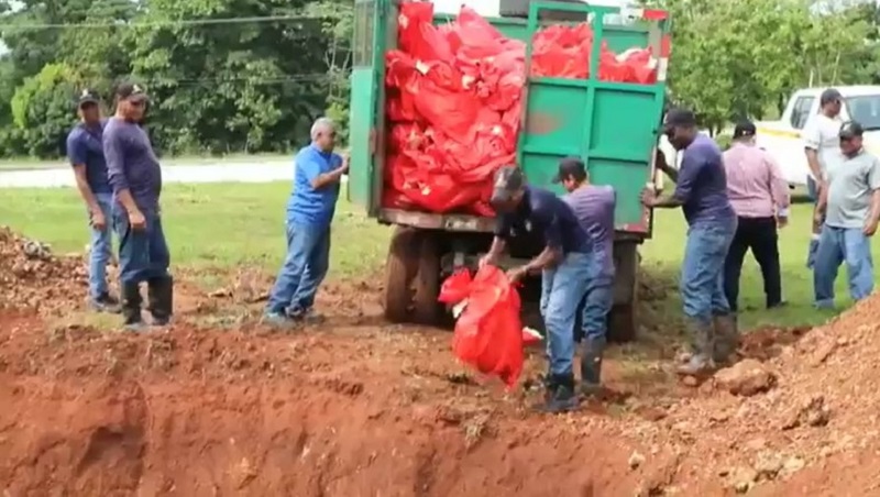 Municipio se disculpa tras video sobre depósito de restos humanos en fosa común