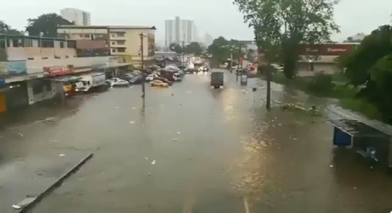 Vías inundadas y árboles caídos por tormenta en Ciudad de Panamá