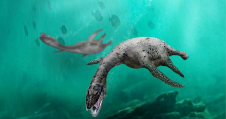 Científicos descubren restos de reptiles marinos jurásicos en el desierto de Atacama
