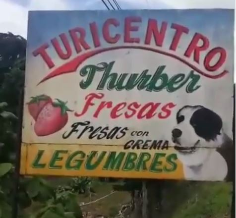 Denuncian maltrato animal de perro San Bernardo en Cerro Punta